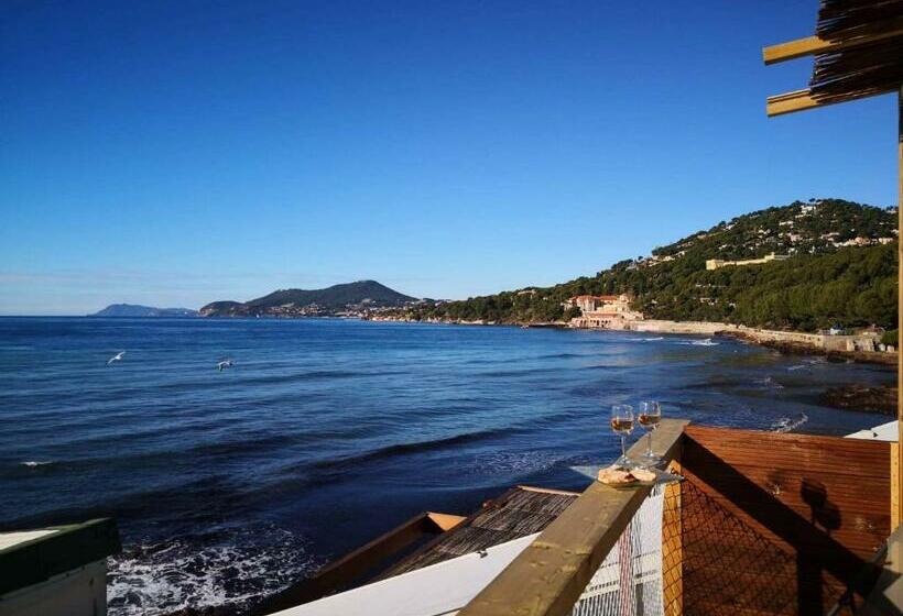 Standard Neljän Hengen Huone Merinäkymä, Stella Maris