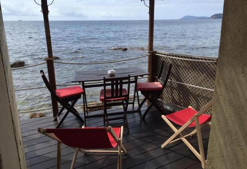 Superior Neljän Hengen Huone, Stella Maris