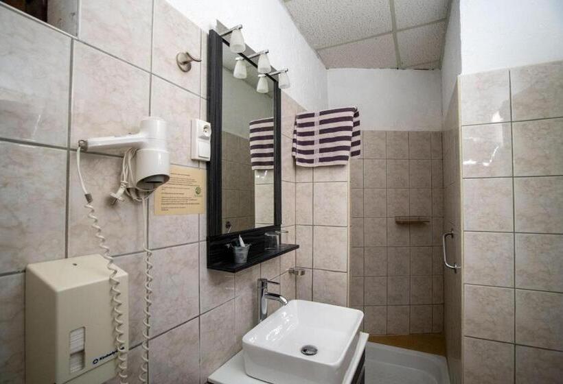 스탠다드 룸 가든 전망, Hôtel Les Orangers