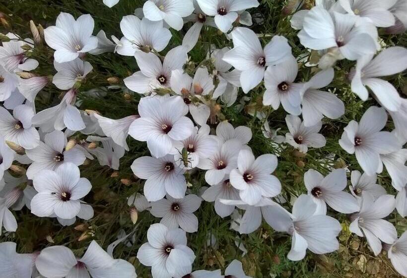 Стандартный Номер Кровать Кинг, Hôtel Sainte Anne