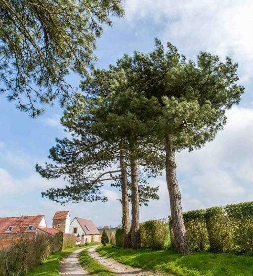 Pokój Standard, Alex Factory Gites Et Chambres D Hôtes Côte D Opale