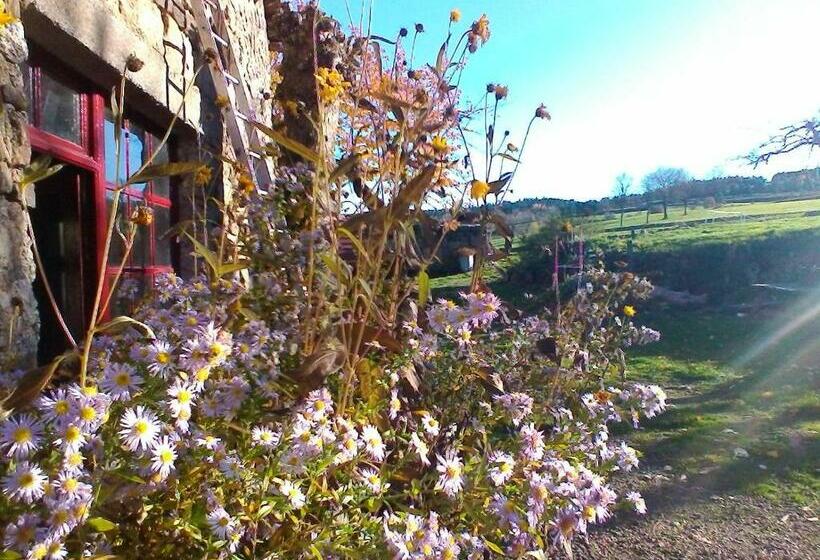 스탠다드 룸, Le Marconnès