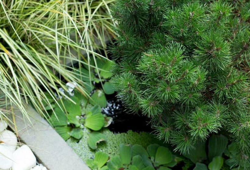 חדר סטנדרט, Maison Ronan Kervarrec   Rennes   Saint Grégoire