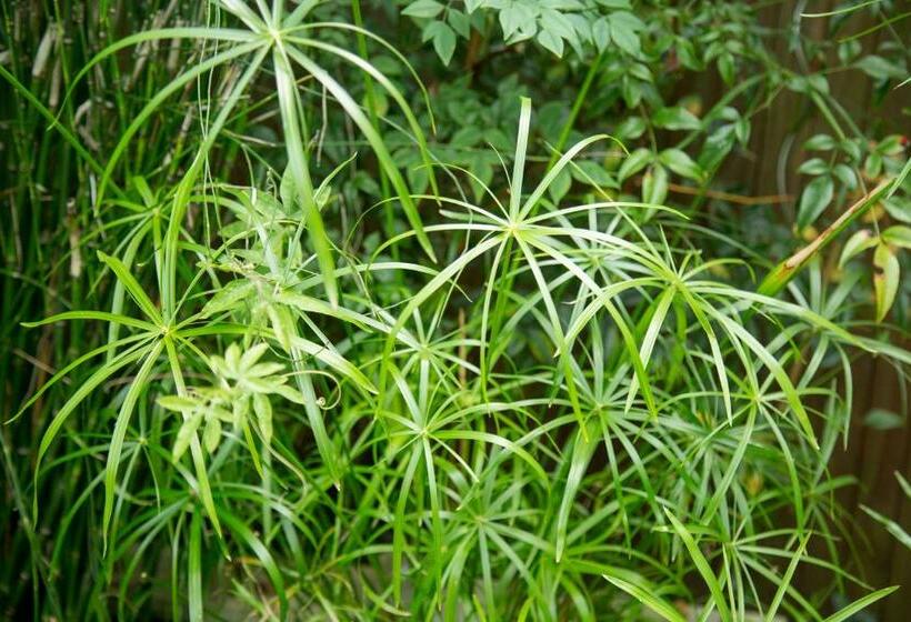 חדר סטנדרט, Maison Ronan Kervarrec   Rennes   Saint Grégoire