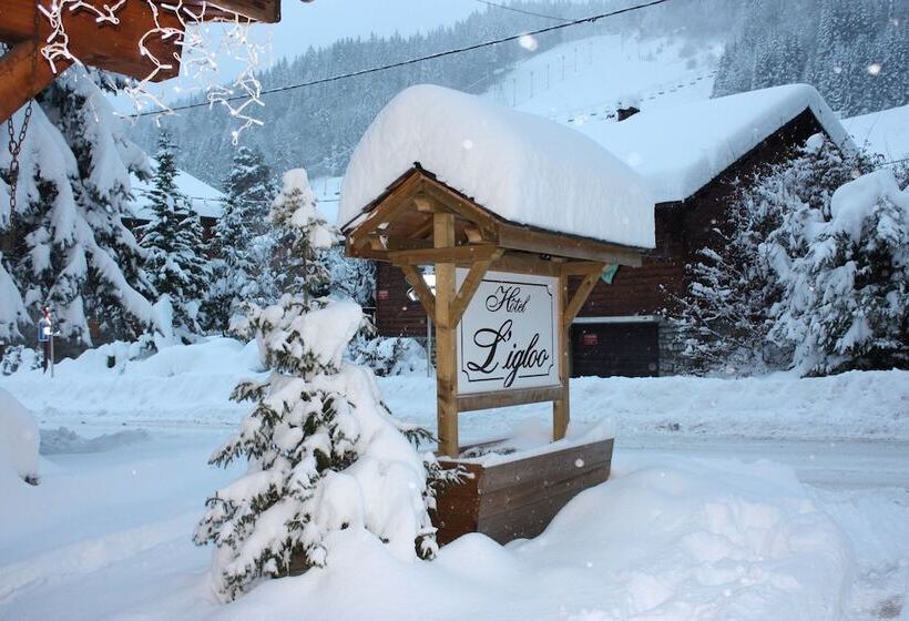 اتاق استاندارد, Hôtel Igloo