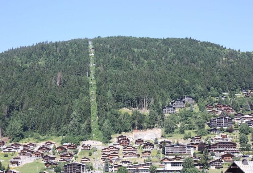 استودیوی استاندارد, Hôtel Igloo