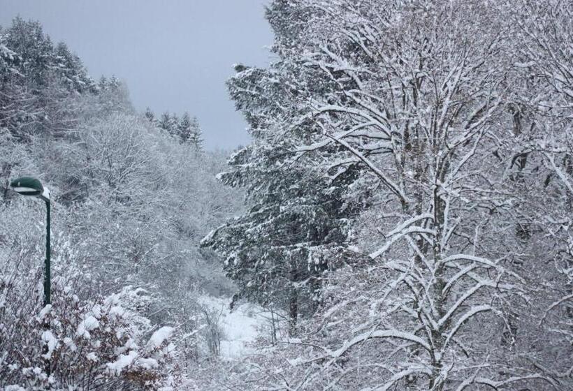 חדר סטנדרט, Logis Hôtel Restaurant De La Dore
