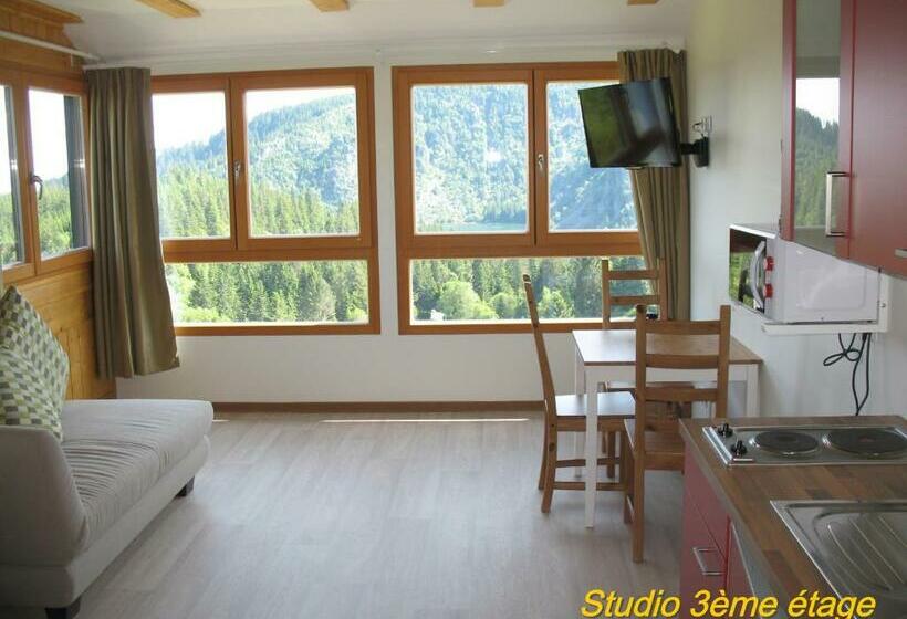 Студия Стандарт, Les Terrasses Du Lac Blanc Studios & Appartements