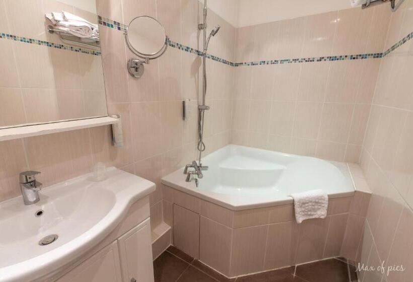 Полулюкс, élysée Hôtel