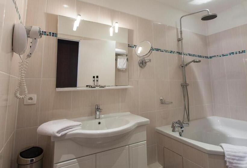 Полулюкс, élysée Hôtel