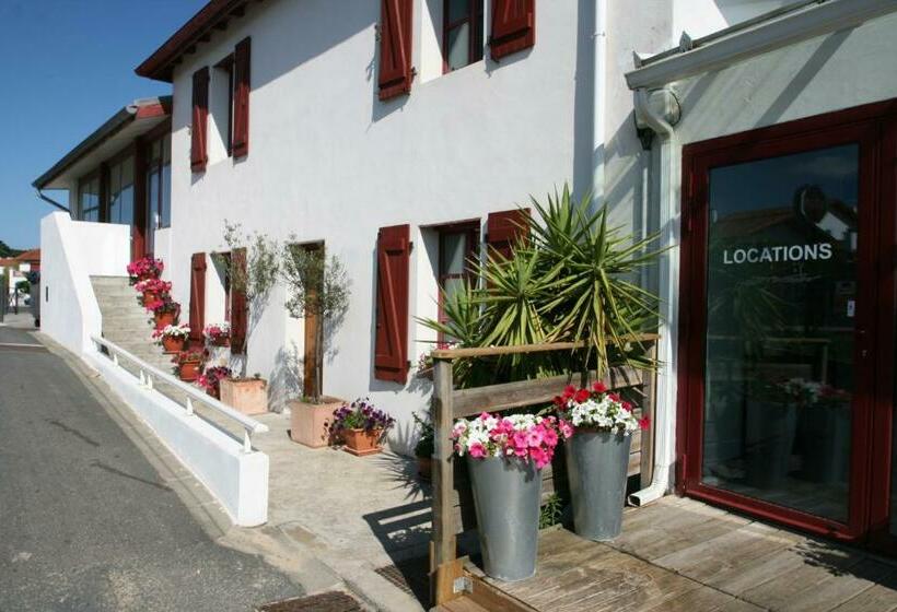 Студия Стандарт, Belarra