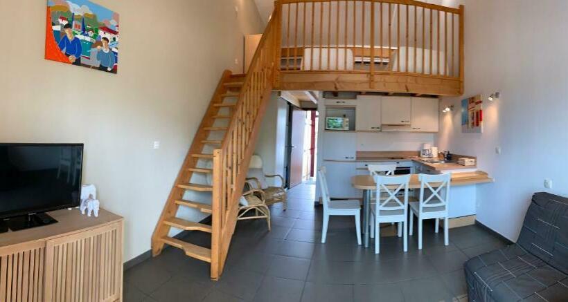 스탠다드 스튜디오, Belarra