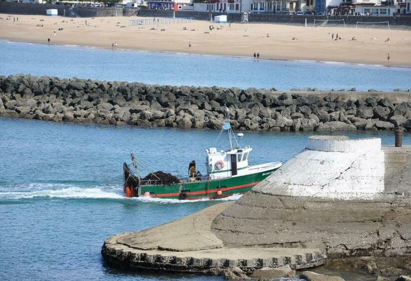 스탠다드 스튜디오, Belarra