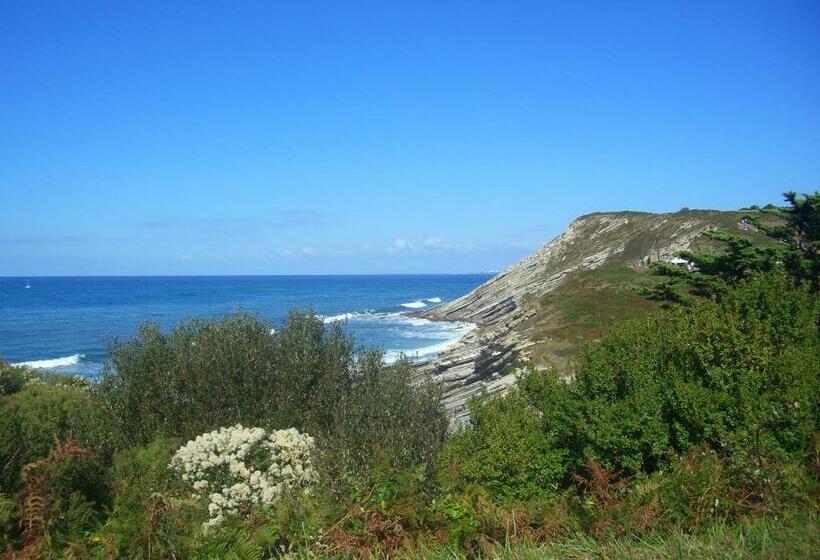 스탠다드 스튜디오, Belarra