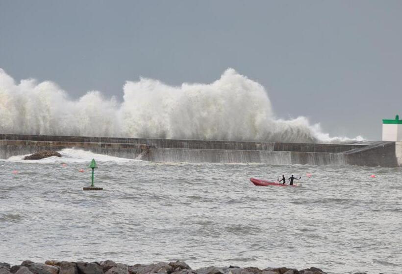 Апартаменты 1 Спальня, Belarra