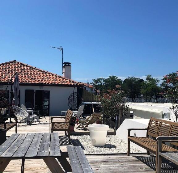 침실 1개 아파트, Belarra