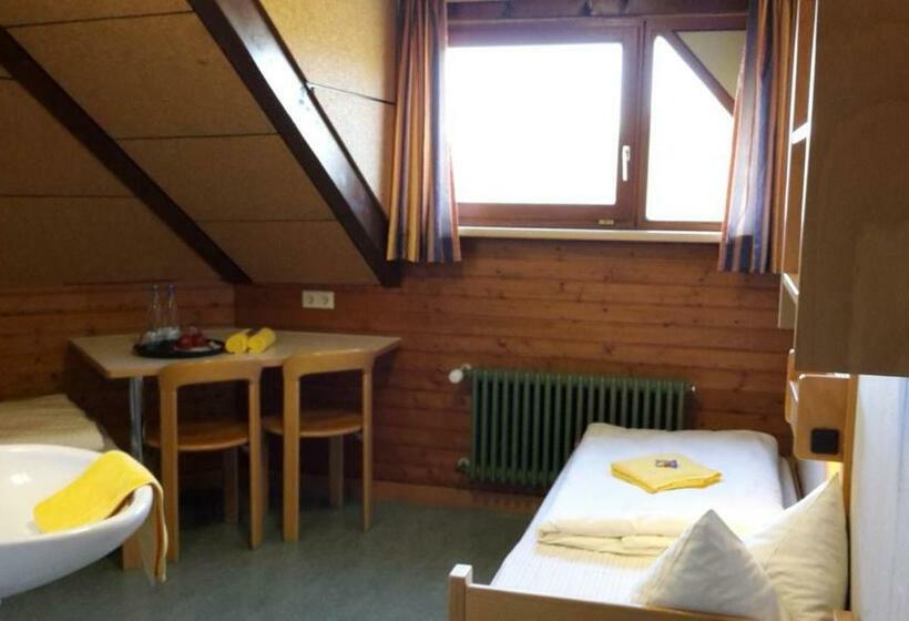 اتاق استاندارد یک نفره, Hellmut Waßmer Jugendherberge Lörrach