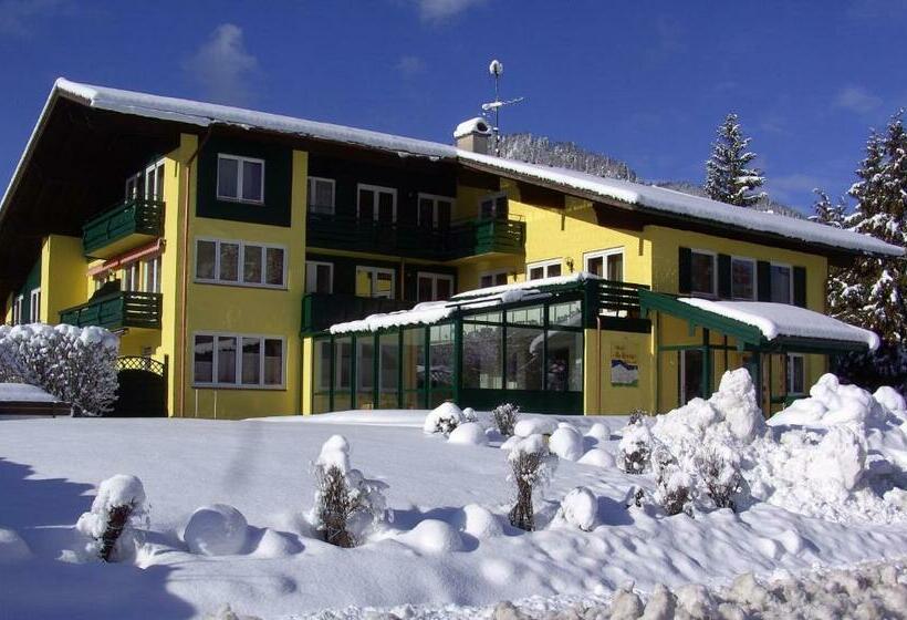 Номер Superior Одноместный, Restaurant Bellevue