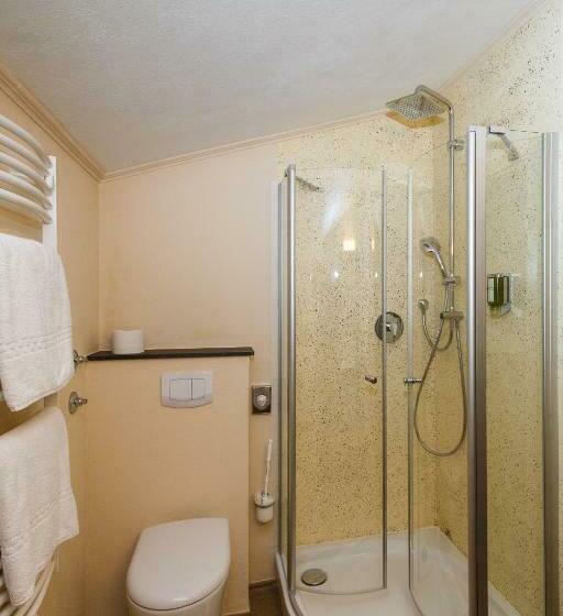 Номер Superior Одноместный, Restaurant Bellevue