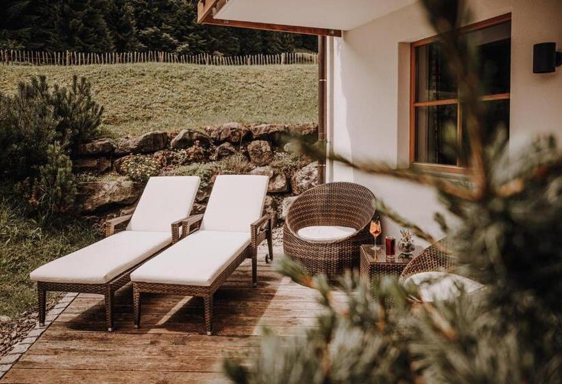 Апартаменты 2 Спальни, Alpe Dornach