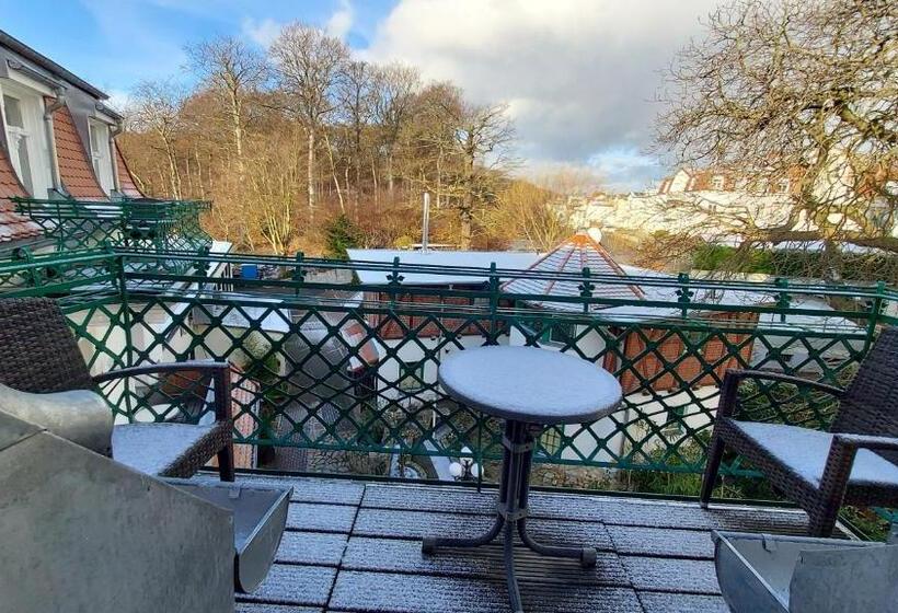 Comfort room with balcony, Buchenpark