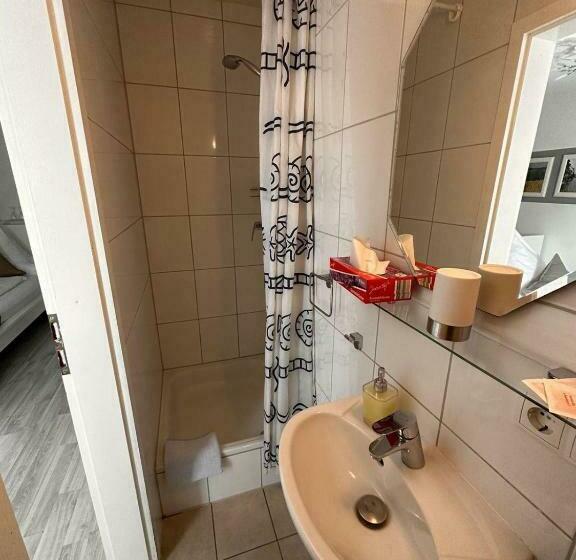 스탠다드 룸, Deutscher Hof