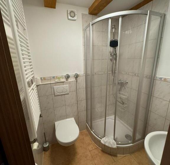 חדר דלוקס יחיד, Kleine Villa Rose