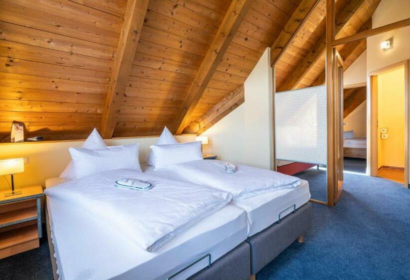 Номер Дюплекс, Meschenmoser