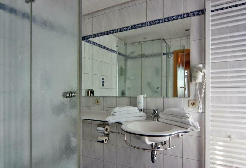 Номер Стандарт с Балконом, Meschenmoser