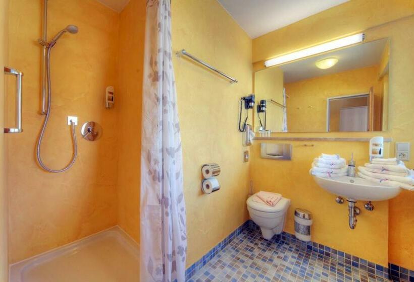 Номер Стандарт с Балконом, Meschenmoser