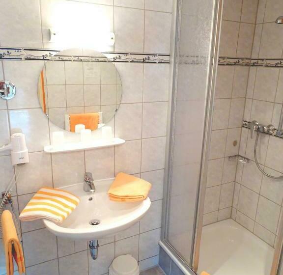 חדר סטנדרט יחיד, Dormero Moselhotel Koblenz Alken