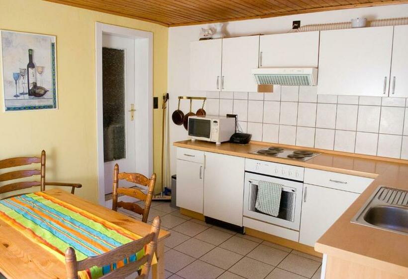 Апартаменты 2 Спальни с Террасой, Ponyhof Naeve Am Wittensee