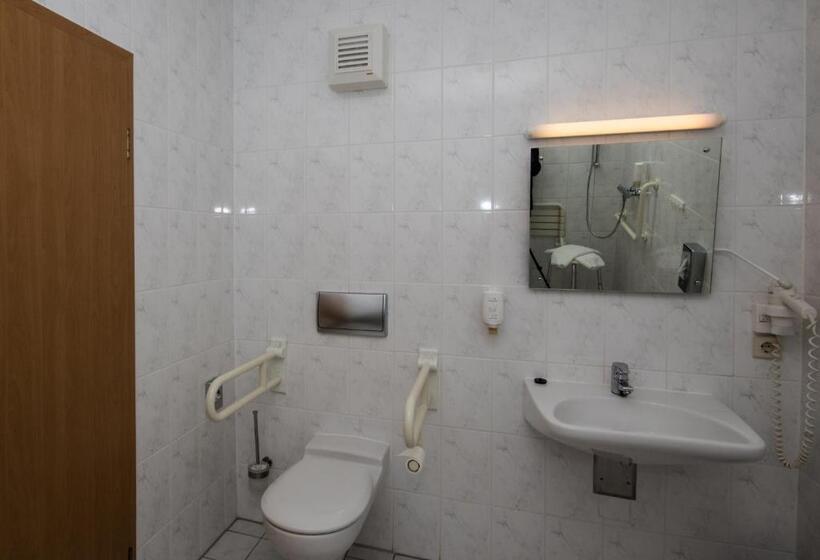 Номер Стандарт Адаптированный для Инвалидов, Radduscher Hafen