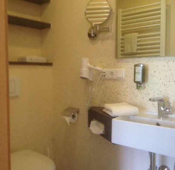 Номер Superior Одноместный, Restaurant Bellevue