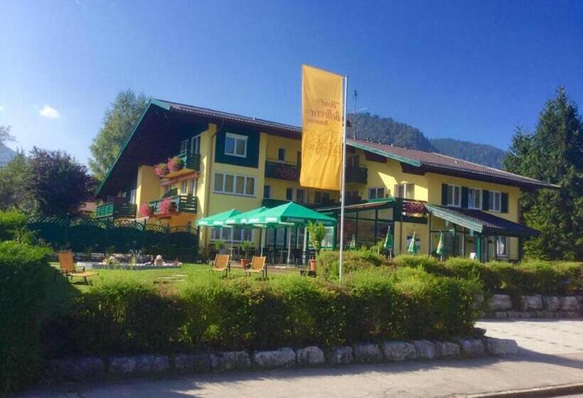 Номер Стандарт Индивидуальный, Restaurant Bellevue