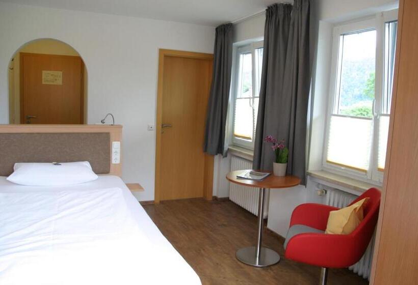 Номер Стандарт Индивидуальный, Restaurant Bellevue