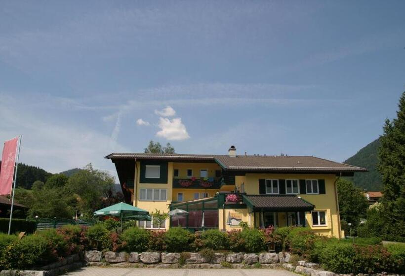 Номер Стандарт Индивидуальный, Restaurant Bellevue