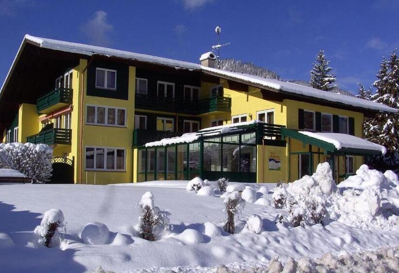 Номер Стандартный с Видом, Restaurant Bellevue