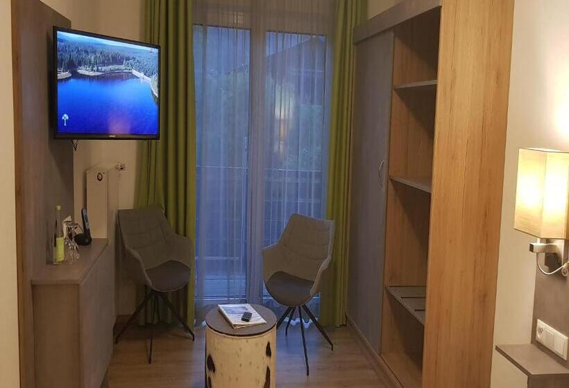 Номер Стандартный с Видом, Restaurant Bellevue