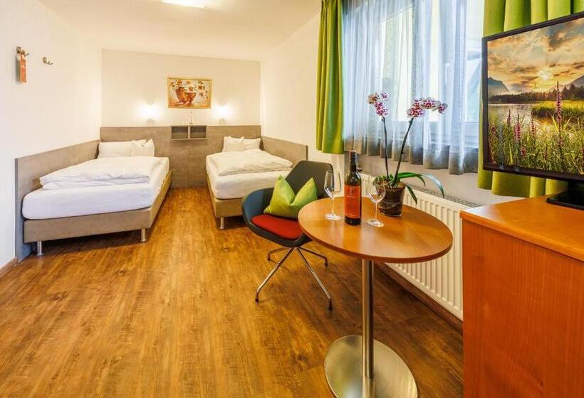 Номер Стандартный с Видом, Restaurant Bellevue