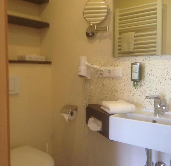 Номер Стандарт Индивидуальный, Restaurant Bellevue