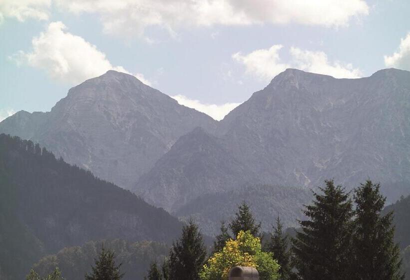 Номер Стандарт Индивидуальный, Restaurant Bellevue