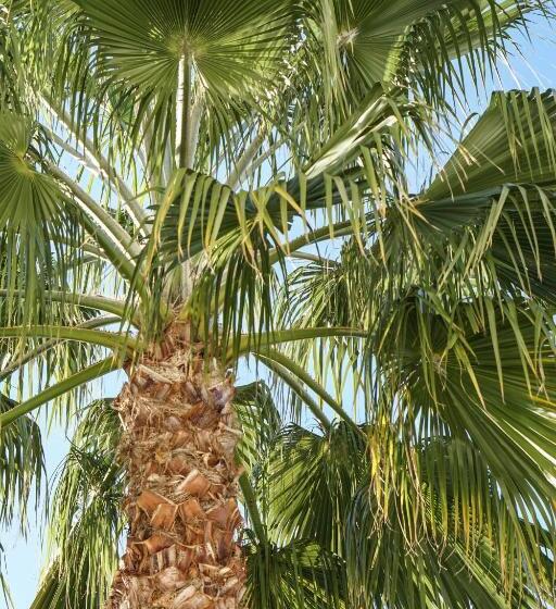 חדר סופריור, Villa Pruly Hotel Cannes Centre