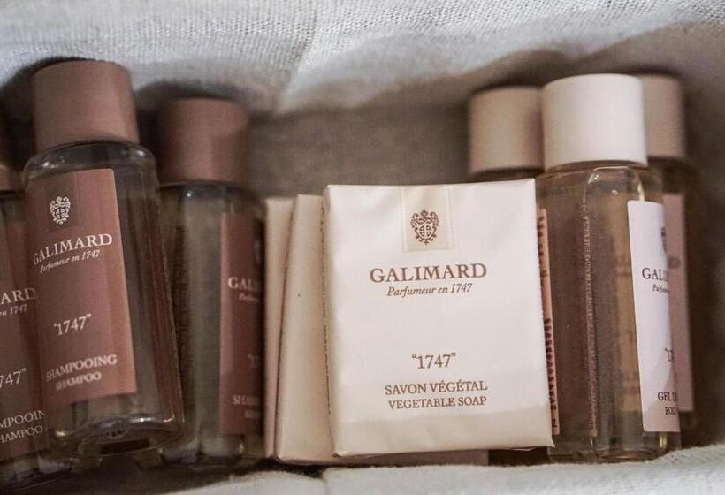 חדר דלוקס עם מרפסת טרסה, Villa Pruly Hotel Cannes Centre