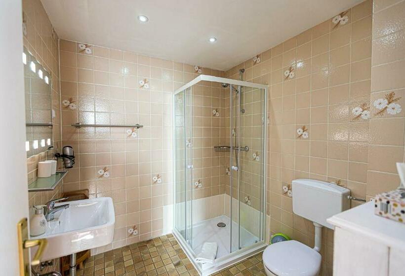 غرفة قياسية, Ski Und Bikerhotel Villa Sonnenschein