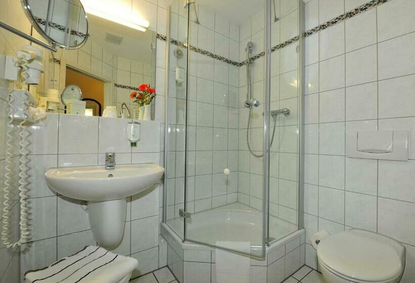 חדר סטנדרט יחיד עם נוף, Wilhelmshöhe