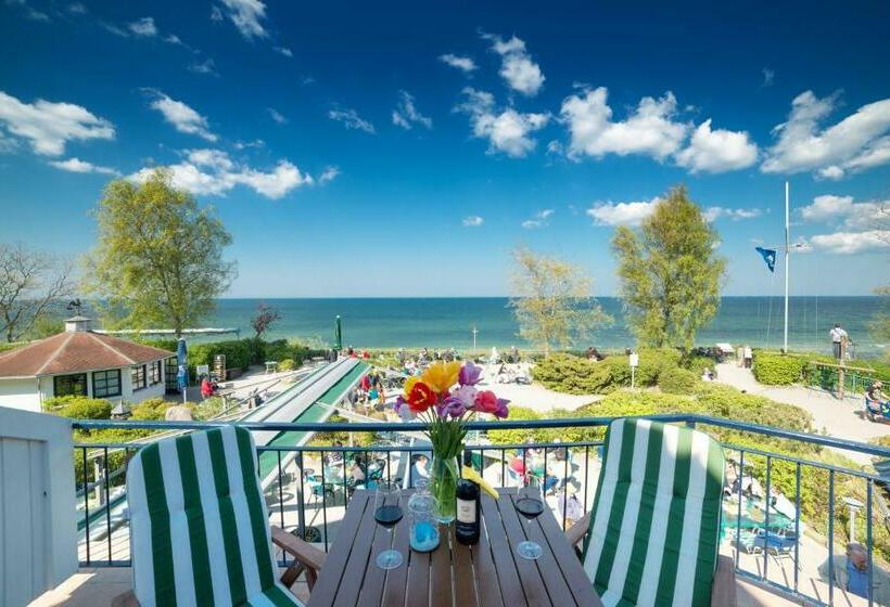 סוויטה, Wilhelmshöhe