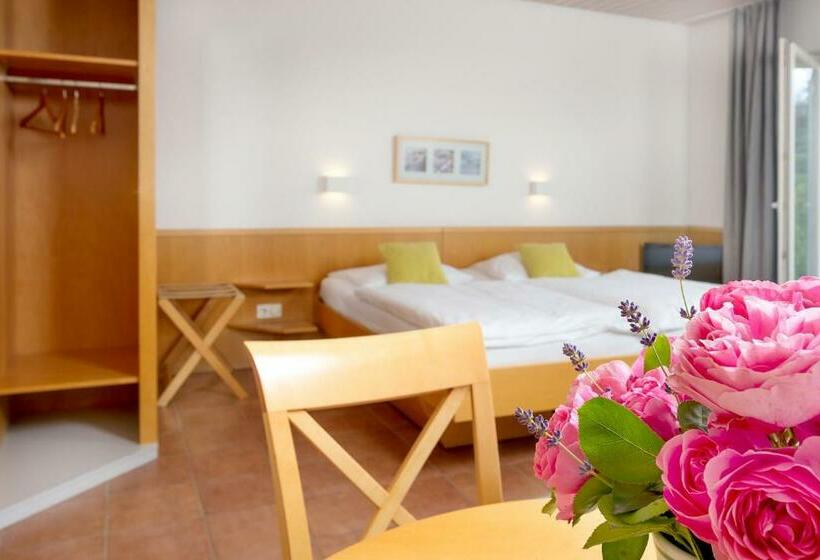 스탠다드 테라스 룸, H.w.s. Hotel Der Wilde Schwan