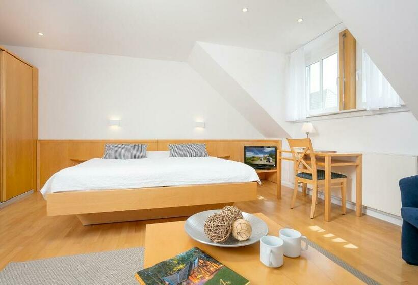 펜트하우스 룸, H.w.s. Hotel Der Wilde Schwan