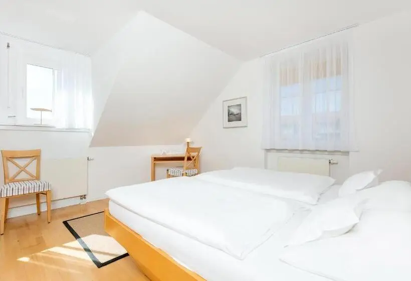 メゾネットスイート, H.w.s. Hotel Der Wilde Schwan
